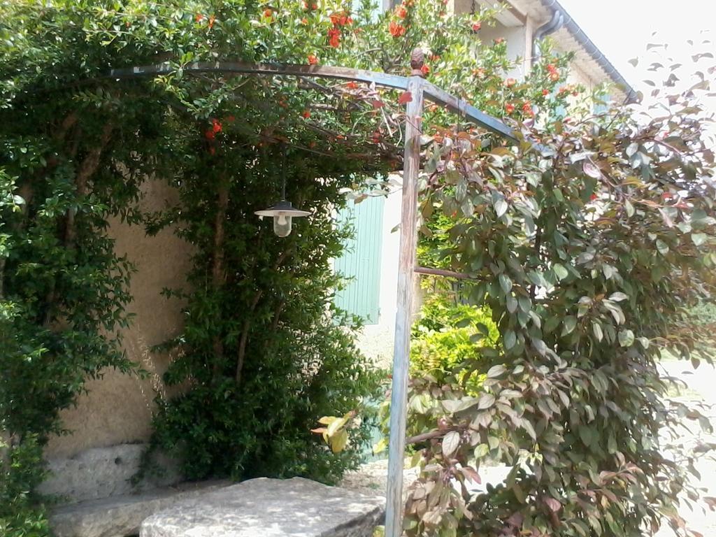 Mas La Vitalis Chambres D'Hotes LʼIsle-sur-la-Sorgue Exteriér fotografie